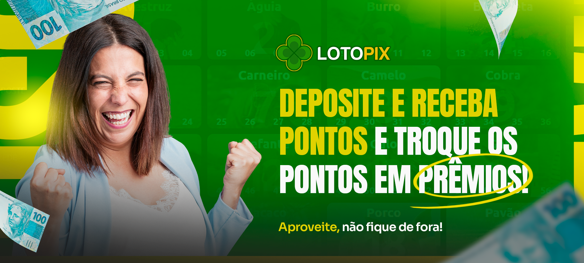 Banner - LotoPix